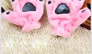 熊掌是什么 熊割了熊掌会死吗